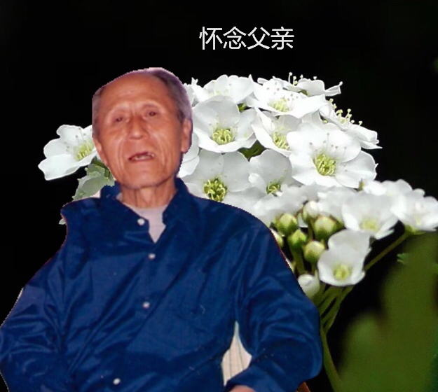 献上一束鲜花送出浓浓祝福