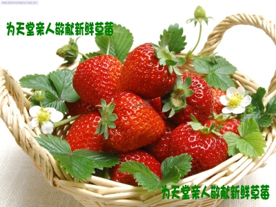 送上一份供品，有祝福，也有深深的回忆
