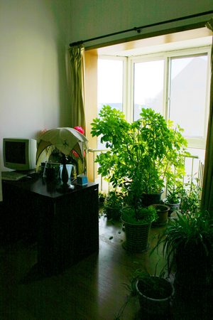 照片