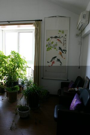 照片