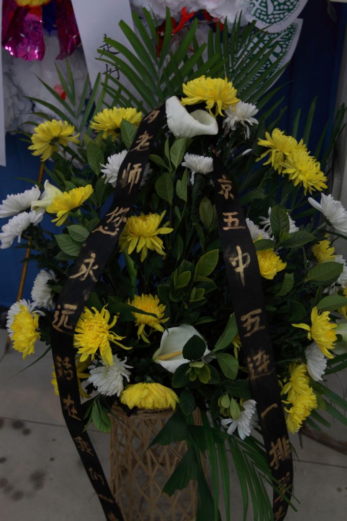 照片