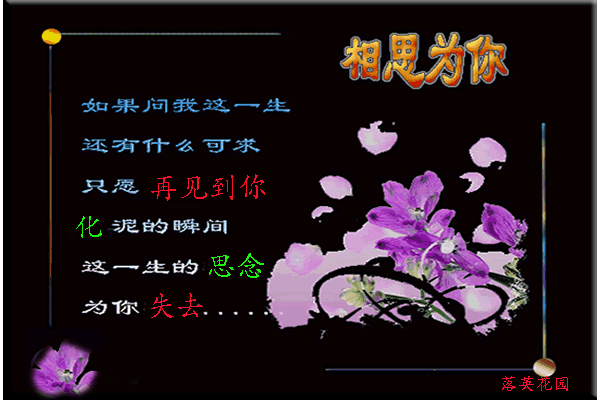 照片