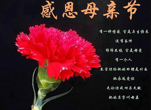 照片