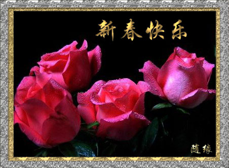 照片