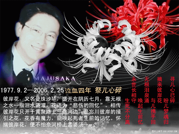 照片