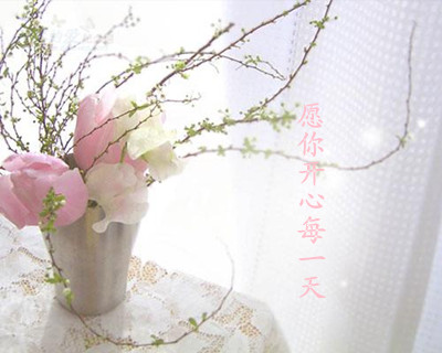 照片
