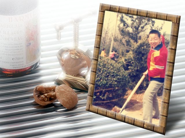 照片