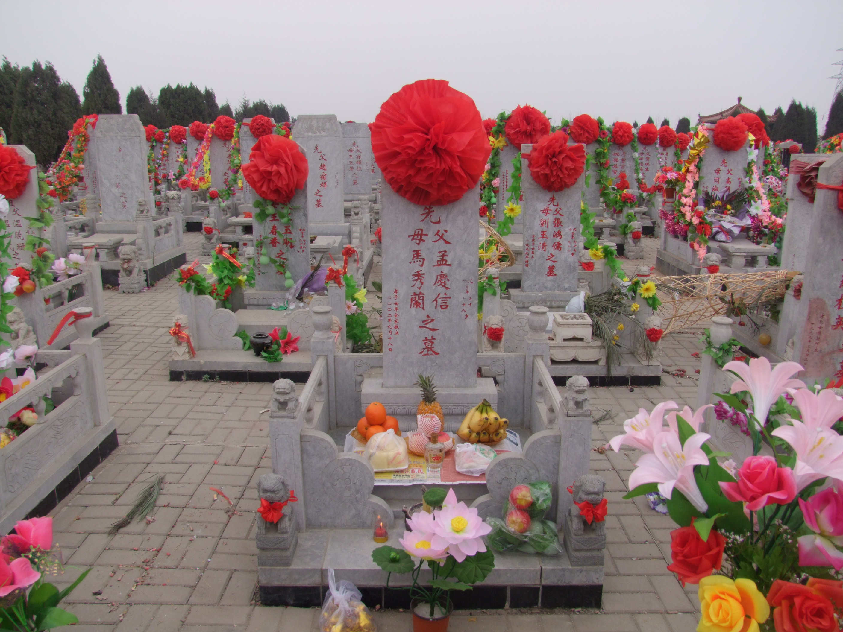 照片