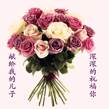 照片