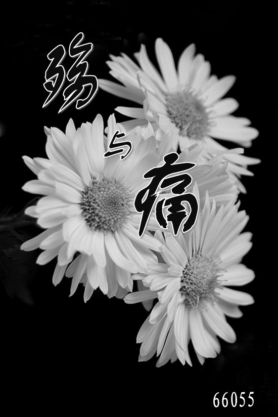 照片