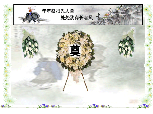 照片