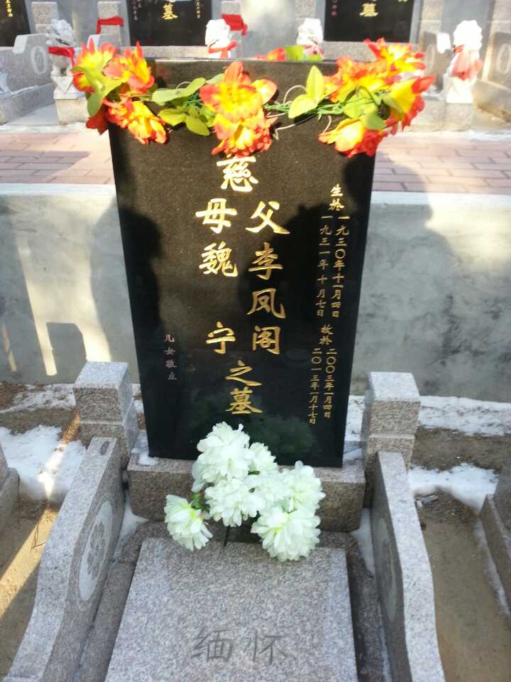 照片