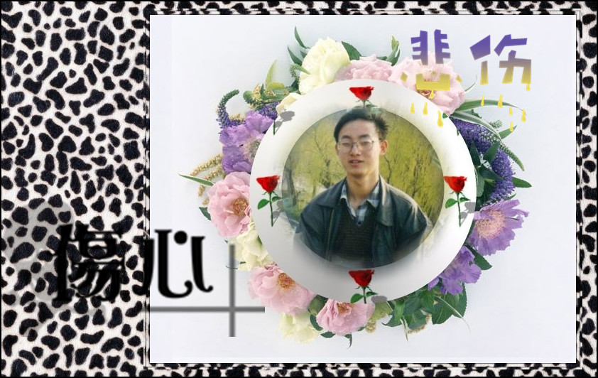 照片