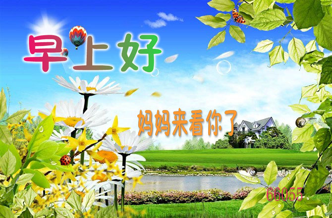 照片