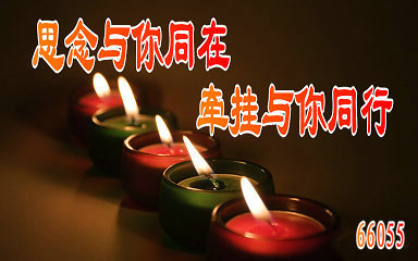 照片