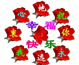 照片