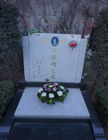 照片