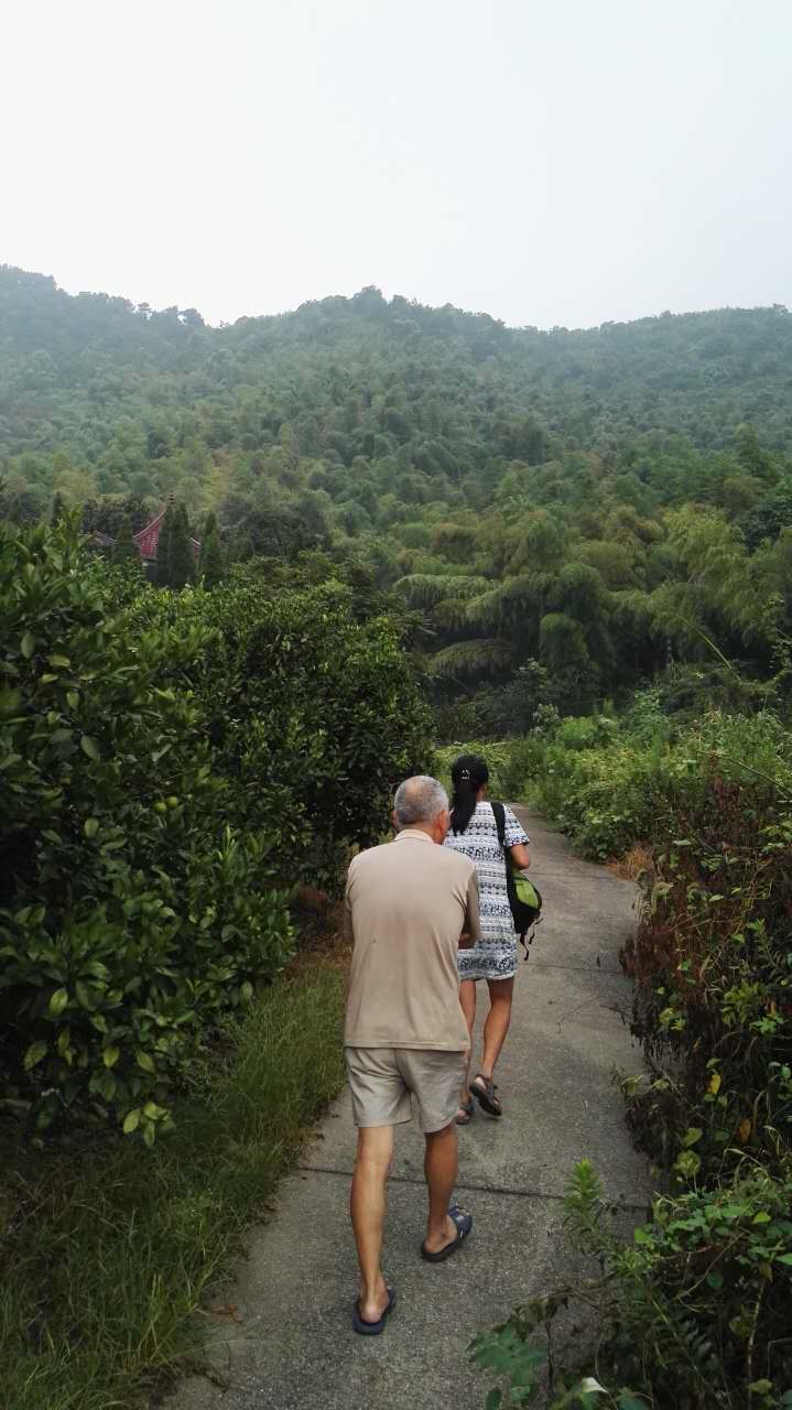 照片
