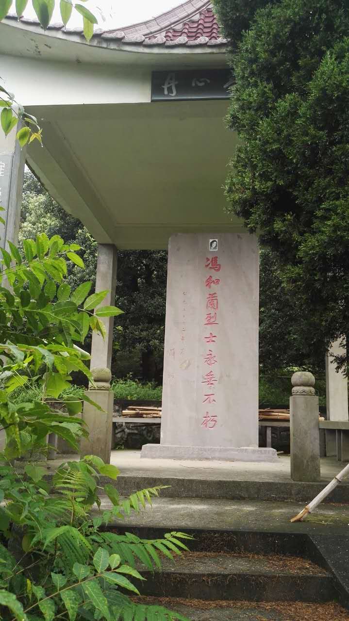 照片