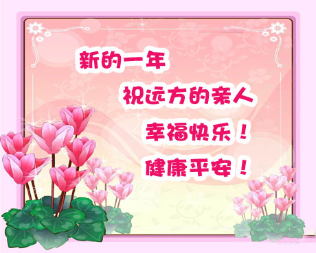 照片