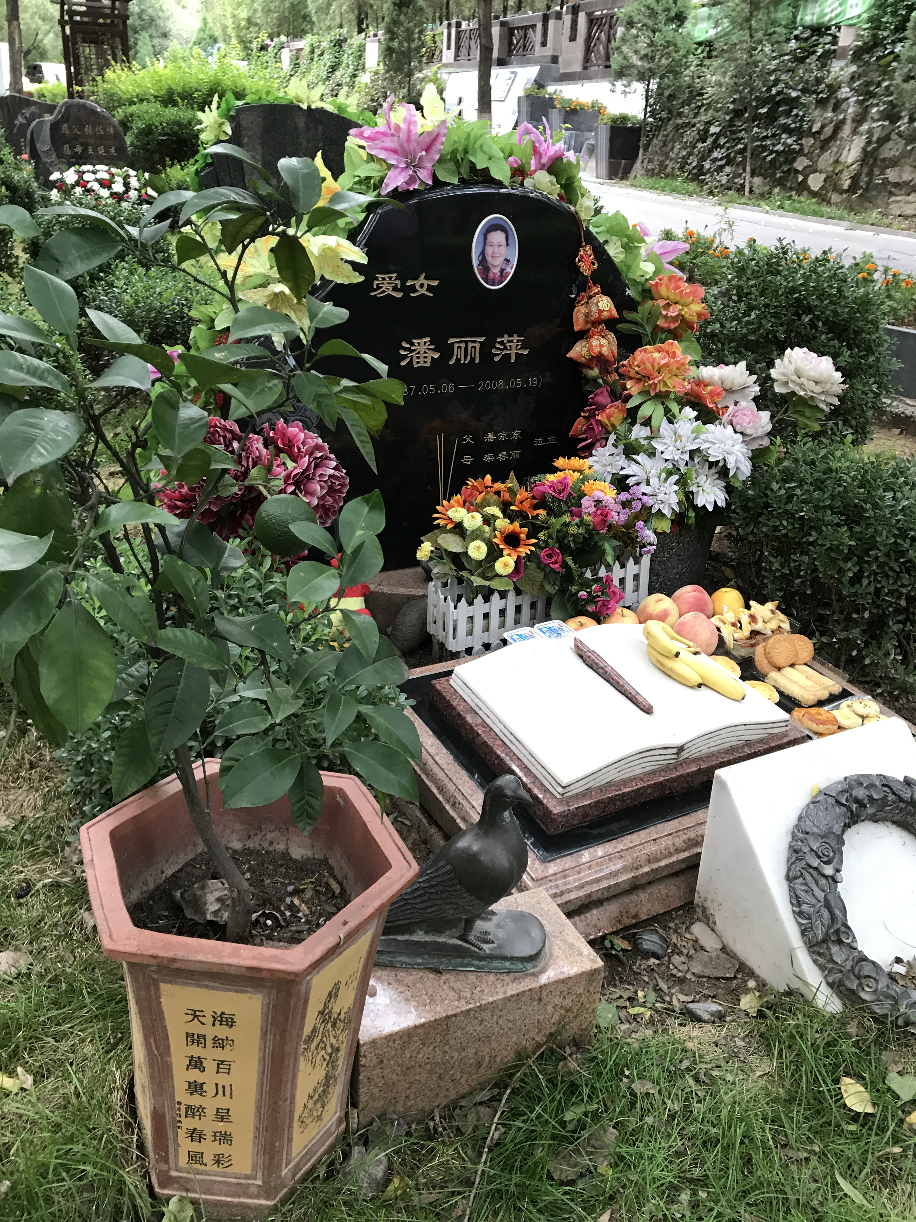 照片