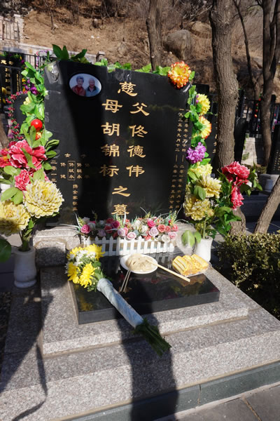 照片