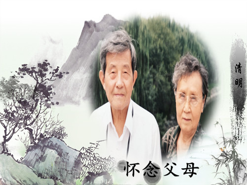 照片