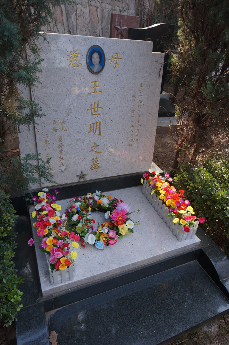 2020年4月4日代客祭扫照片
