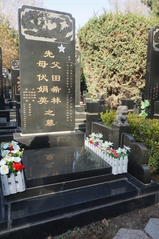 照片