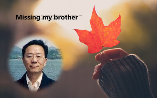照片