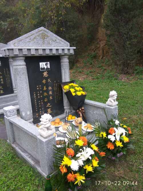 照片