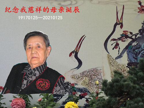 照片