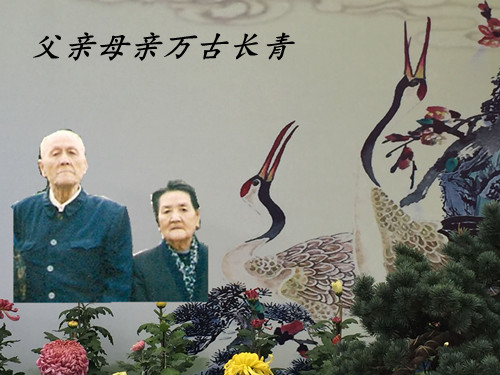 照片