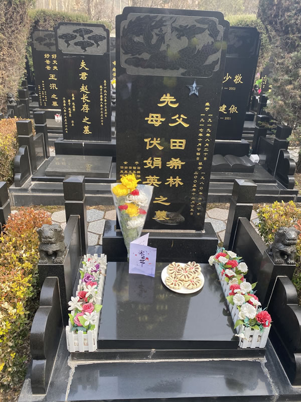 照片