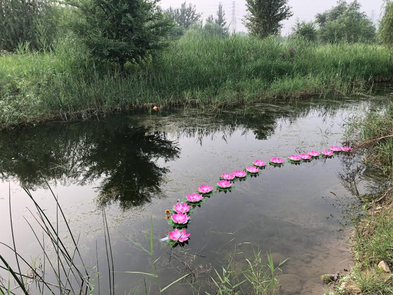 照片