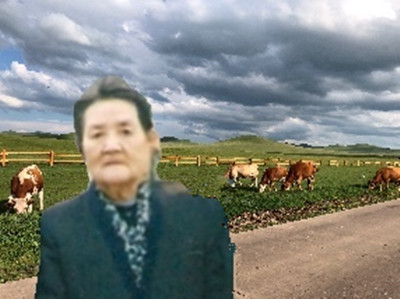 照片
