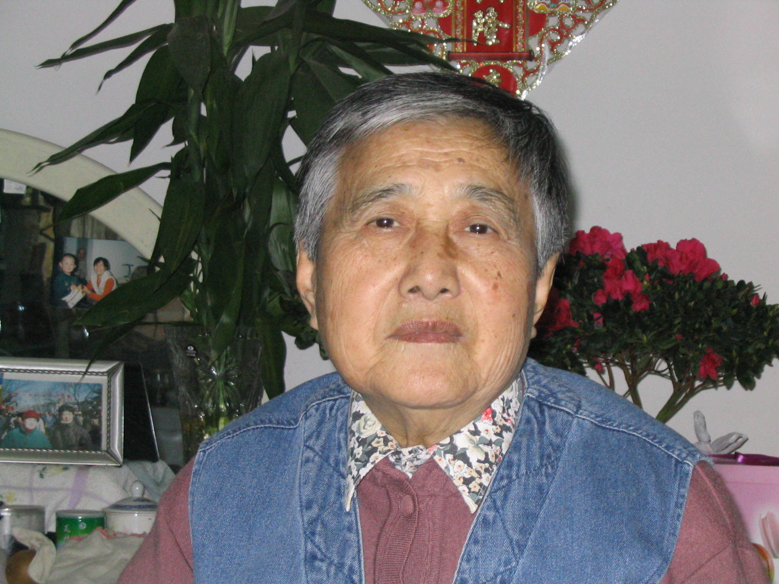 照片