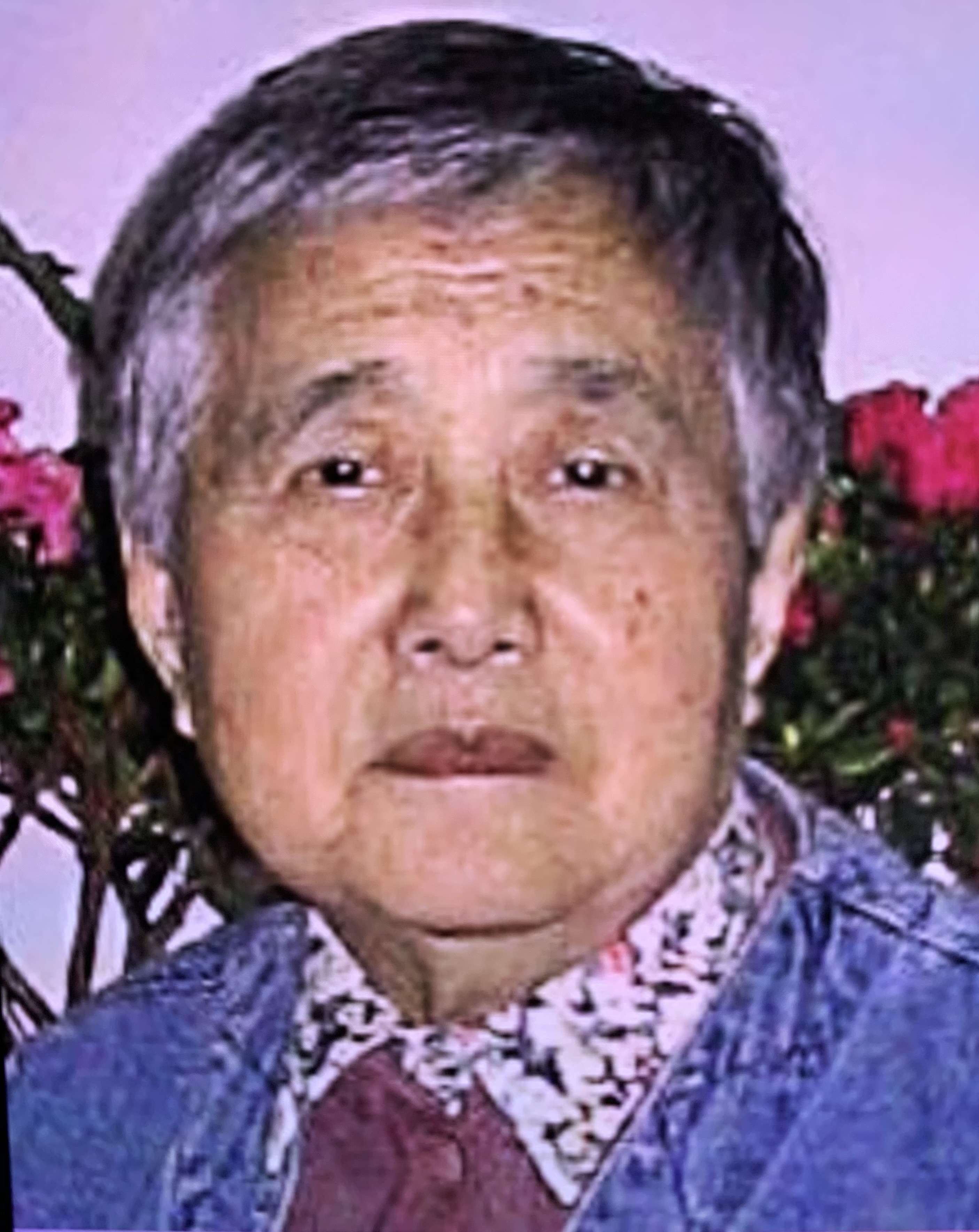 照片