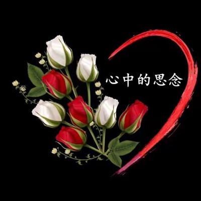 照片