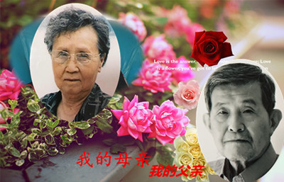 照片