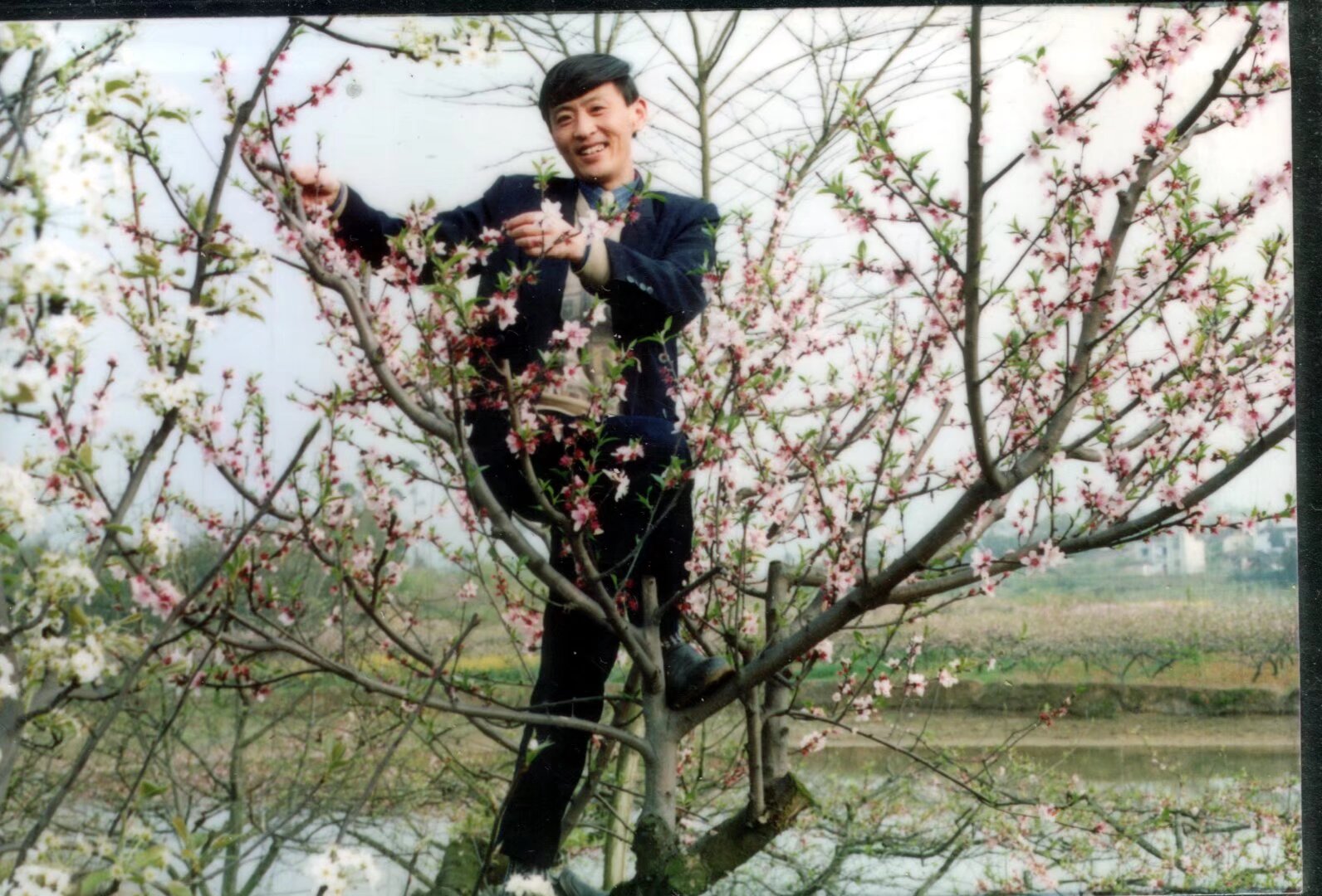 照片