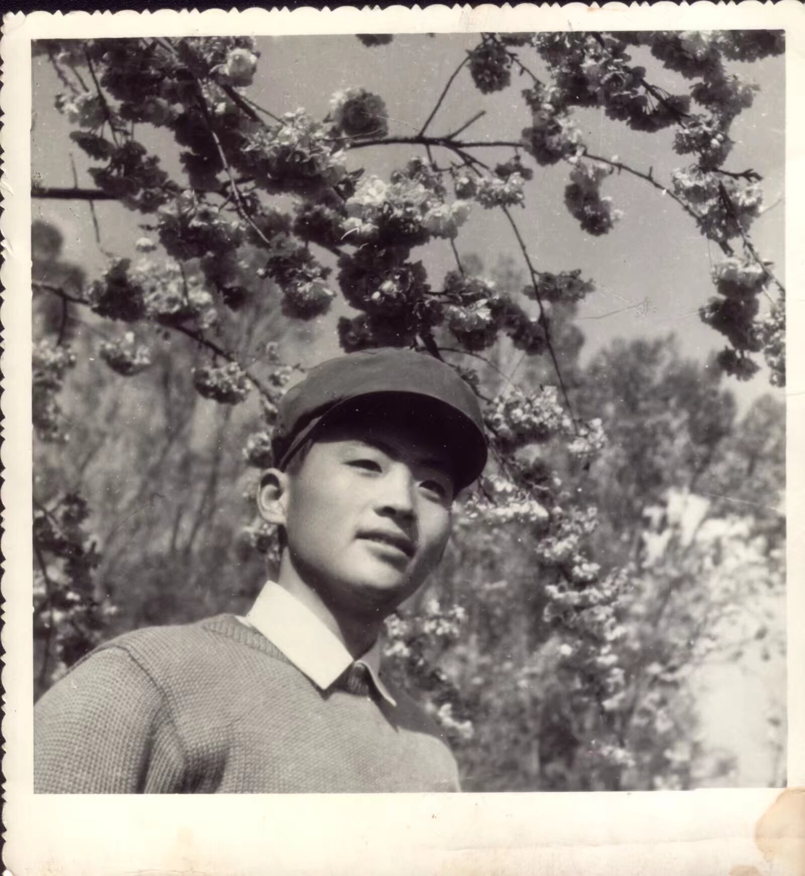 照片
