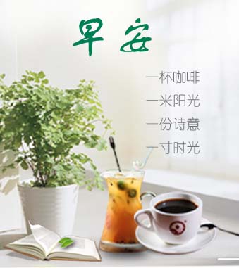 照片