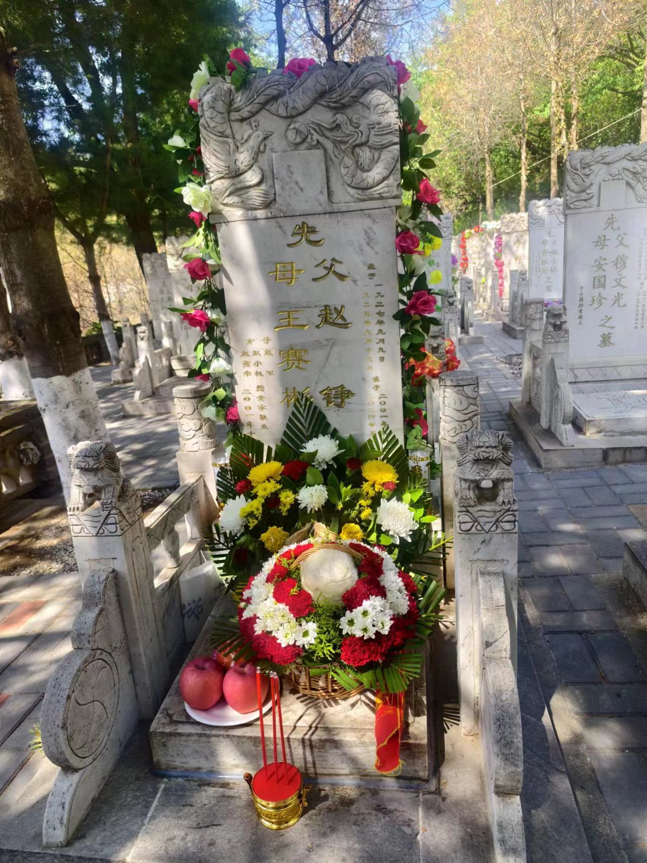 2024.6.17圆三照片