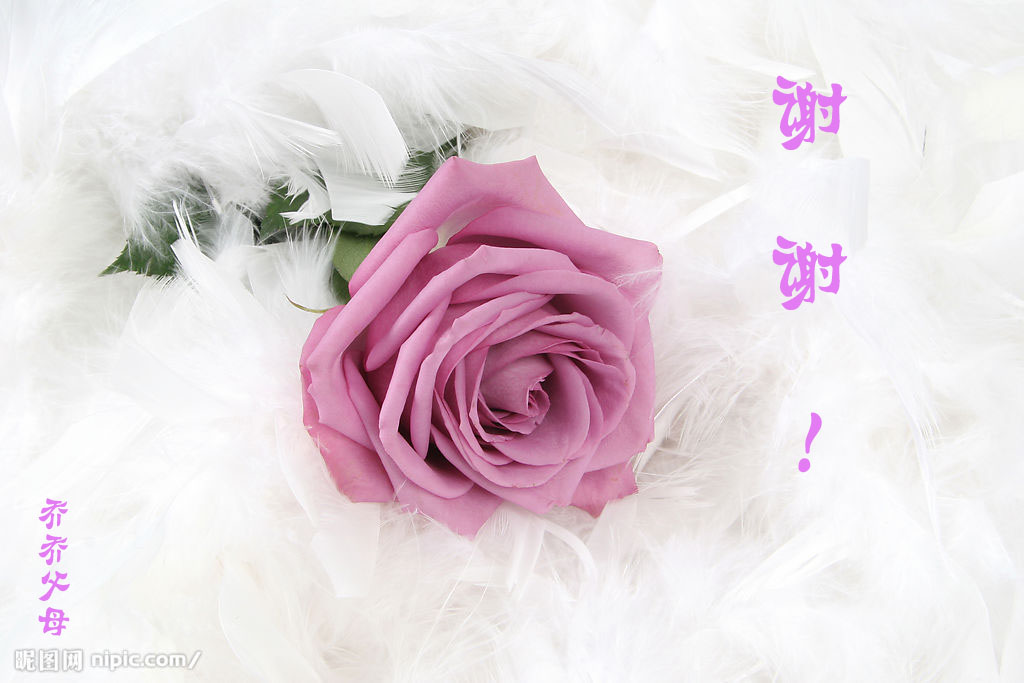 照片