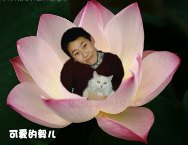 照片
