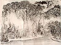 照片