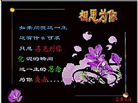 照片