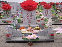 照片