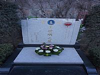 照片